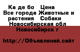 Ка де бо › Цена ­ 25 - Все города Животные и растения » Собаки   . Новосибирская обл.,Новосибирск г.